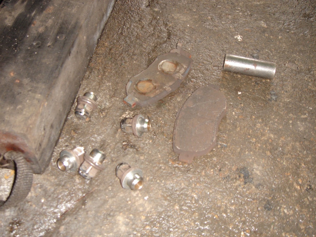DSC03100.jpg