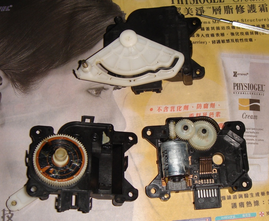 DSC03229.jpg